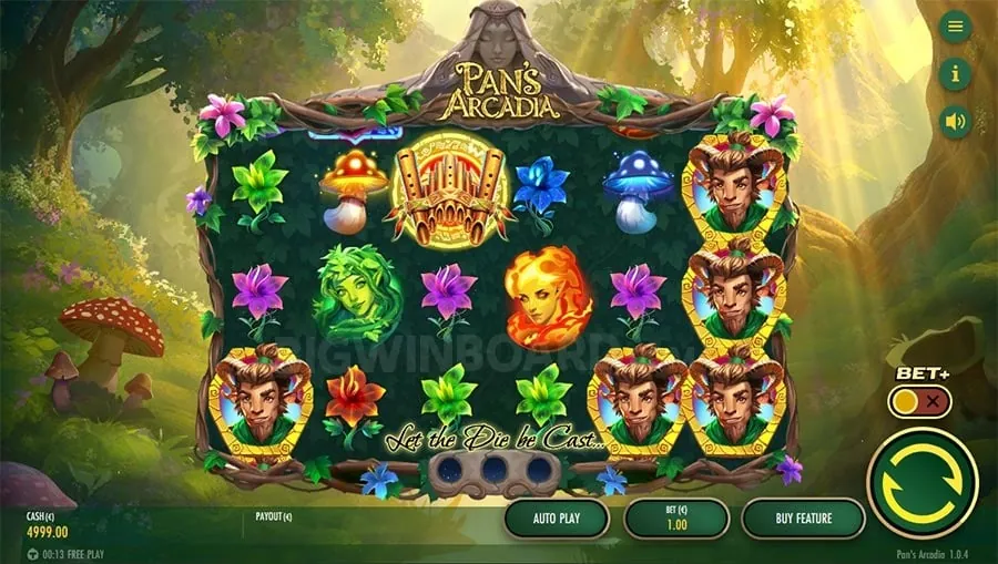 Sports Betting Interface